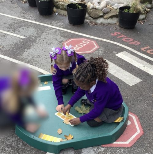 Sorting & Matching Leaves