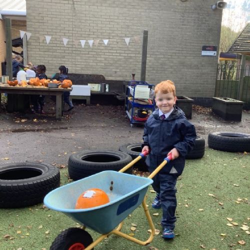 Autumn Leaves & Pumpkins Please!