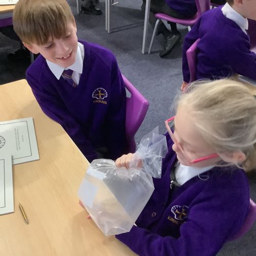 DT Pneumatic Toys Research