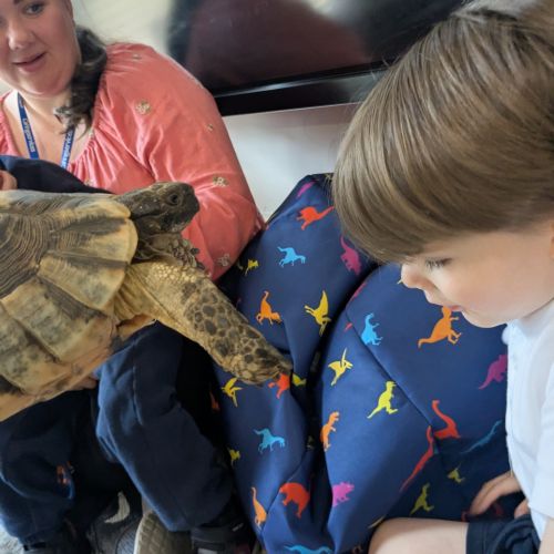 Dylan's Reptile Time '26