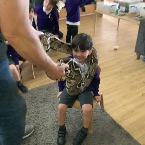 RCM loved meeting Dylan's reptiles and minibeasts!