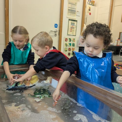 Sea Creatures Play