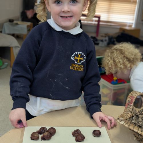 Maths with Conkers!